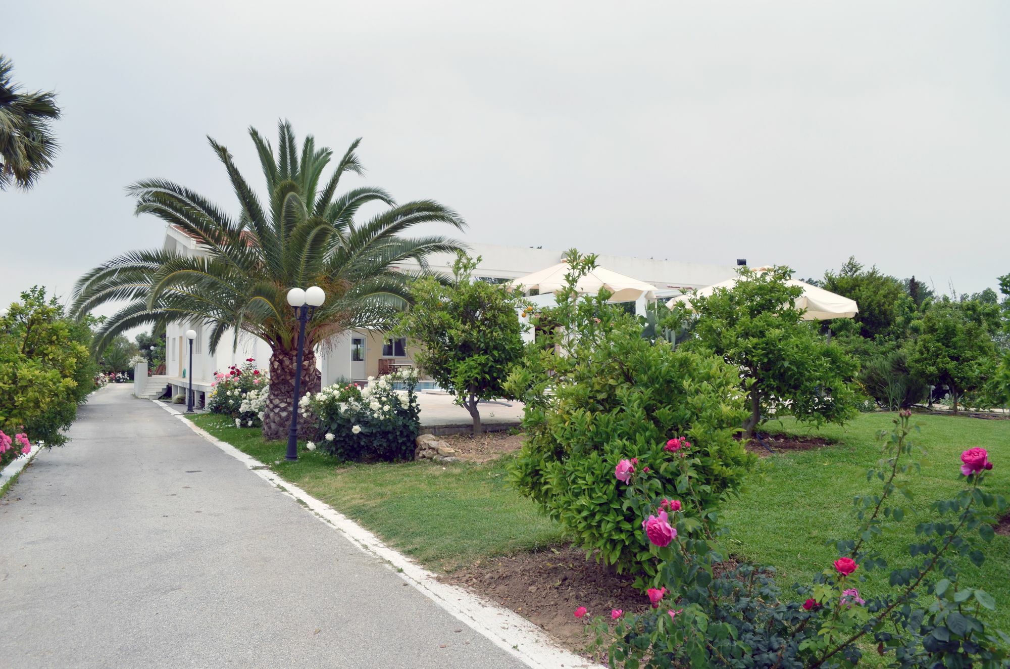 Olive Mansion Suites Μαραθώνας Εξωτερικό φωτογραφία